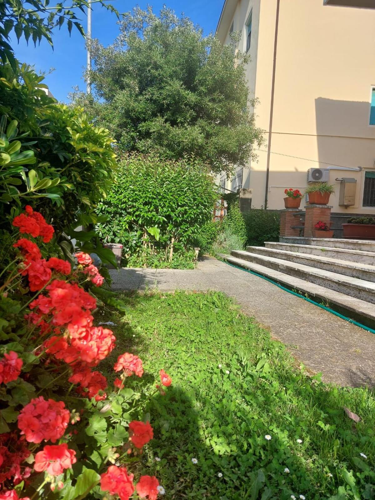 Villa Mehari 피사 외부 사진