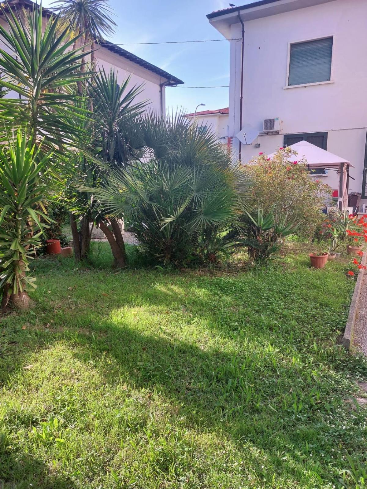 Villa Mehari 피사 외부 사진