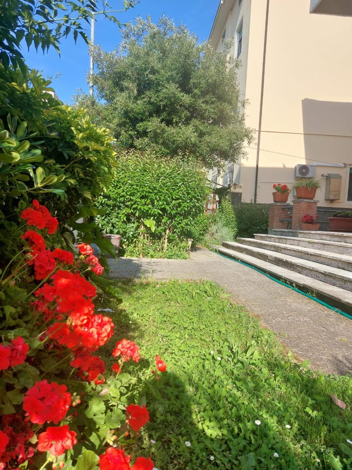 Villa Mehari 피사 외부 사진